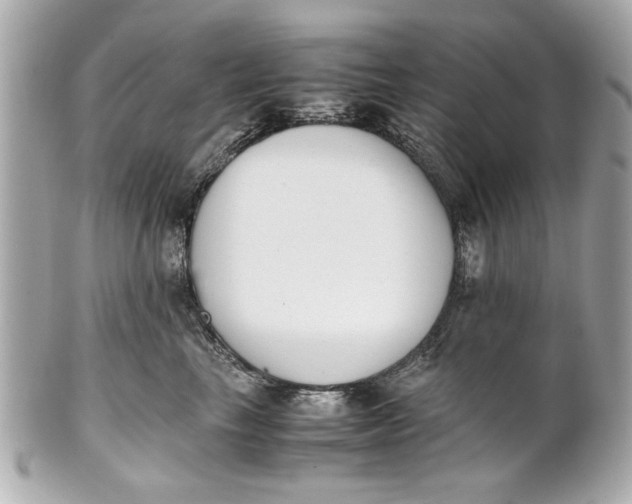 X0000101660665200807311436