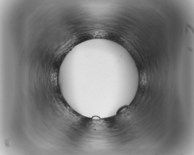 X0000101660666200807311436