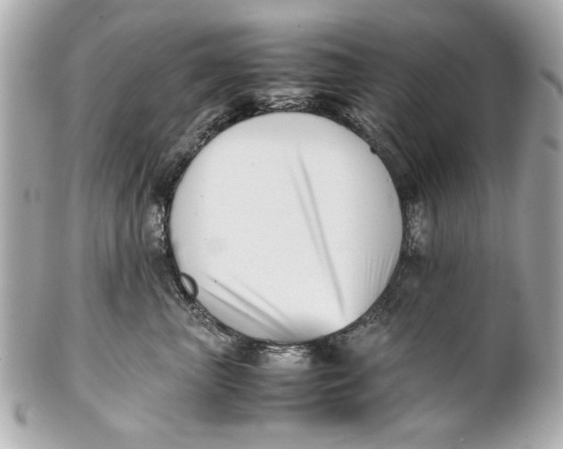 X0000101660667200807311436