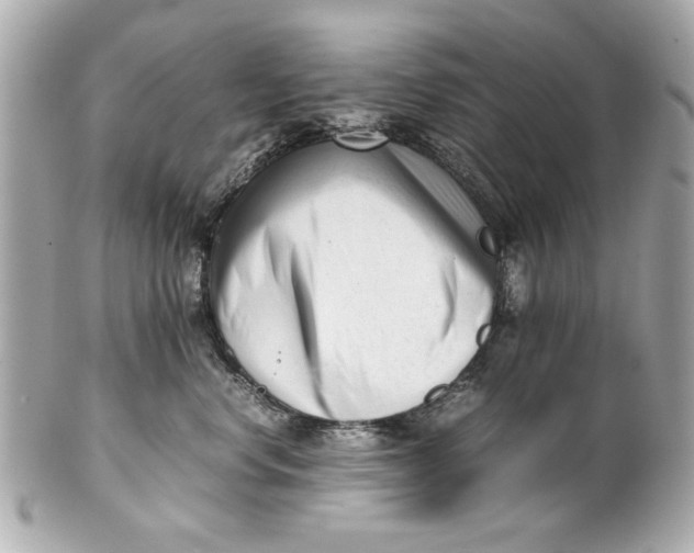 X0000101660668200807311436