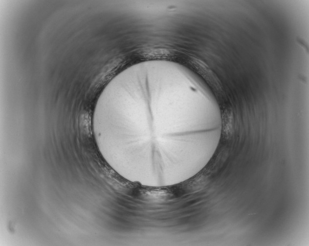 X0000101660669200807311436