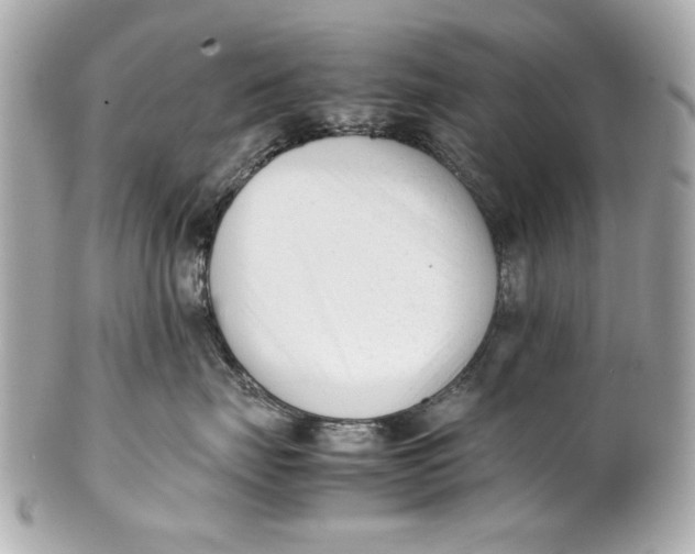 X0000101660671200807311436