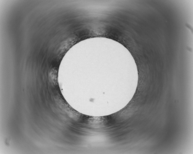 X0000101660672200807311436