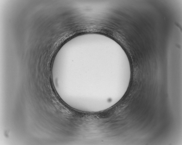 X0000101660673200807311436