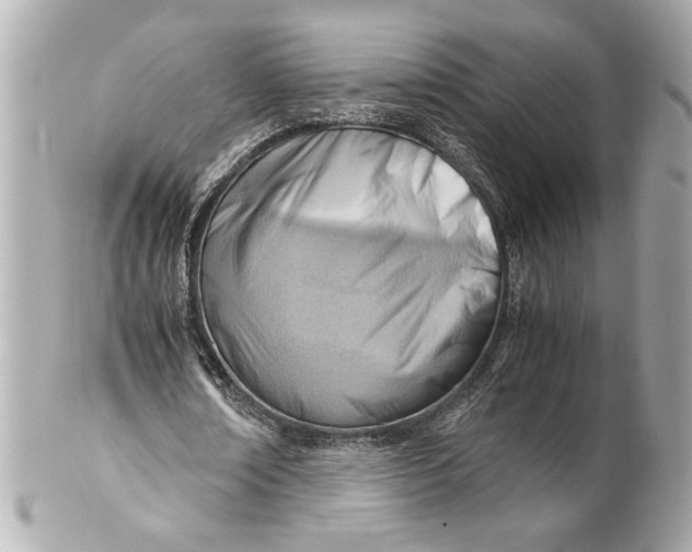 X0000101660674200807311436