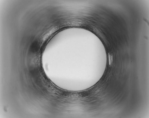 X0000101660675200807311436