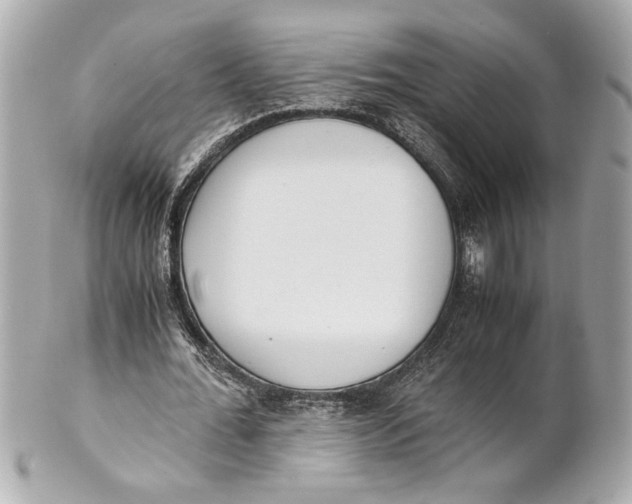 X0000101660676200807311436