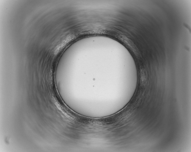 X0000101660677200807311436