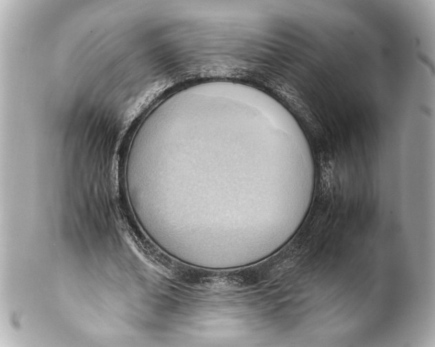 X0000101660678200807311436