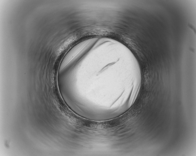 X0000101660679200807311436