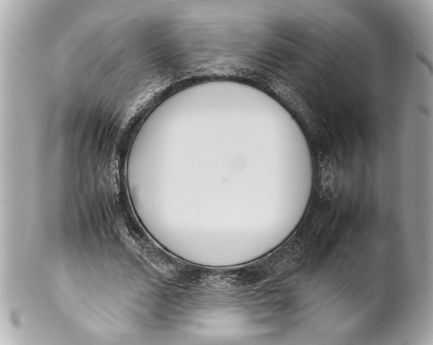 X0000101660680200807311436