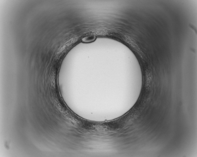 X0000101660681200807311435