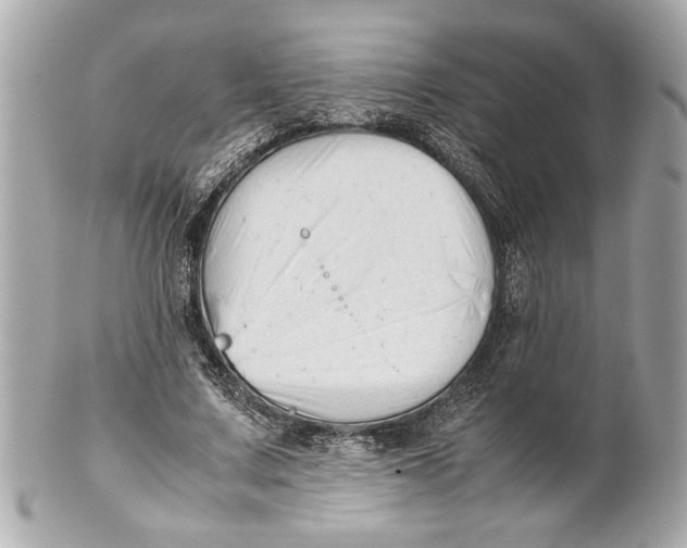 X0000101660683200807311435