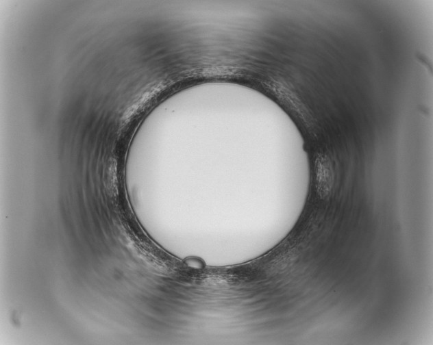 X0000101660684200807311435