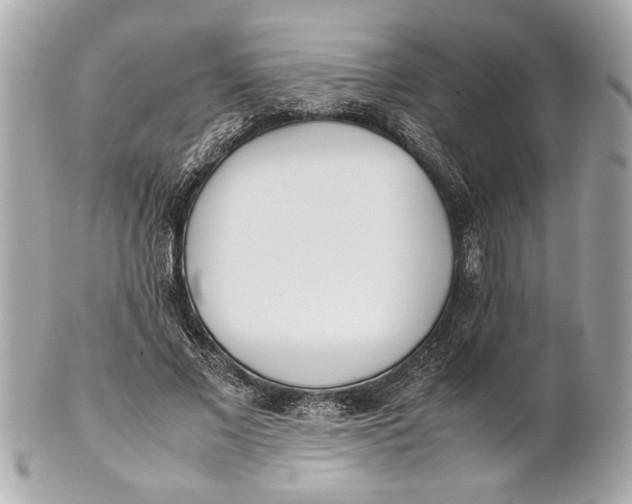 X0000101660685200807311435