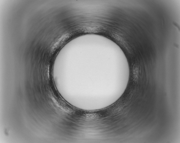 X0000101660686200807311435