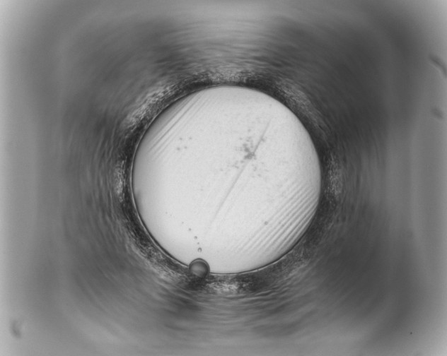 X0000101660687200807311435