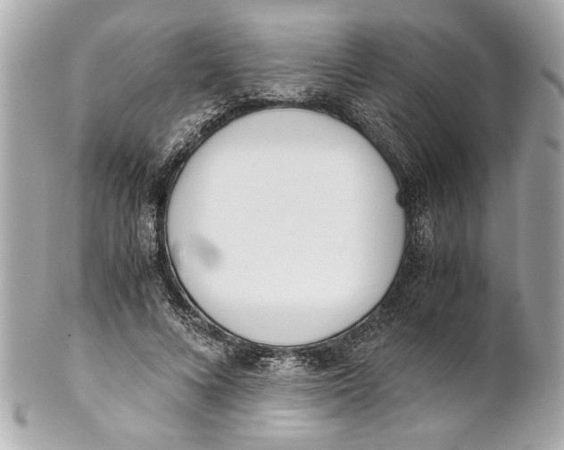 X0000101660688200807311435