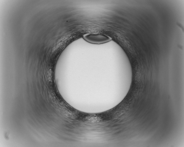 X0000101660689200807311435