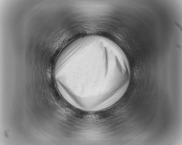 X0000101660691200807311435