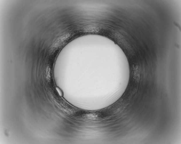 X0000101660692200807311435