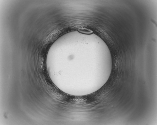 X0000101660693200807311435