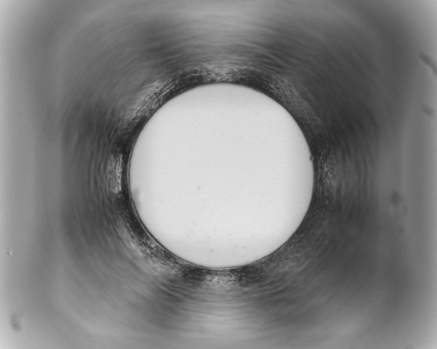 X0000101660694200807311435