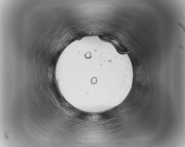 X0000101660695200807311435