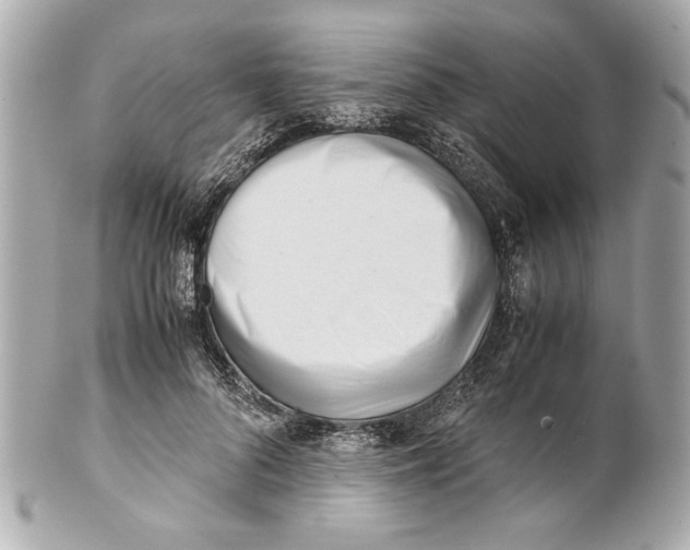 X0000101660696200807311435