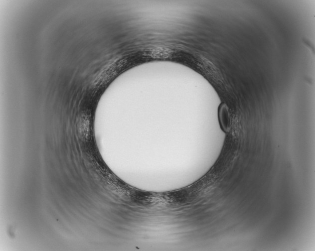 X0000101660697200807311435