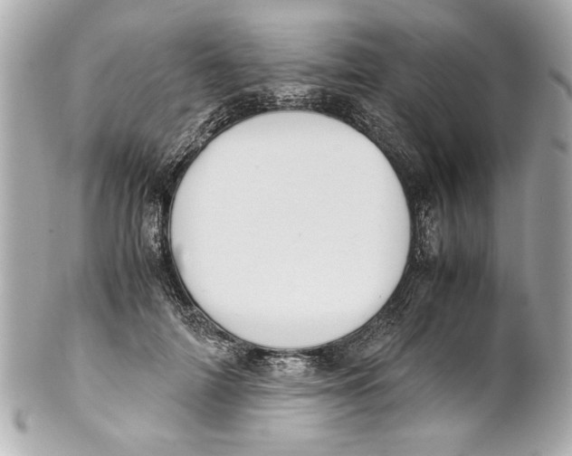 X0000101660698200807311435