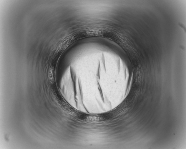 X0000101660699200807311435