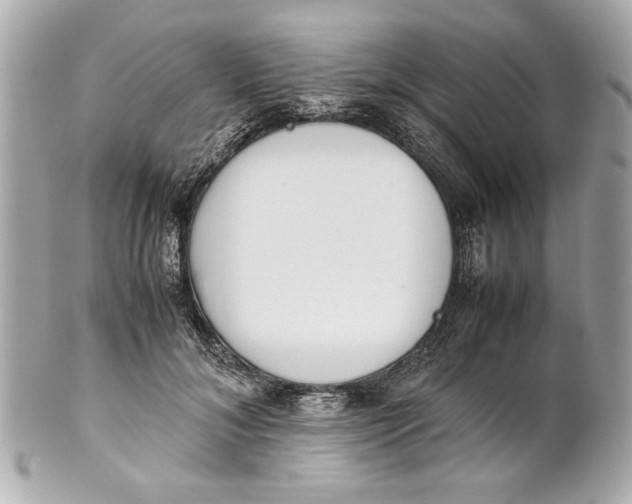 X0000101660700200807311435