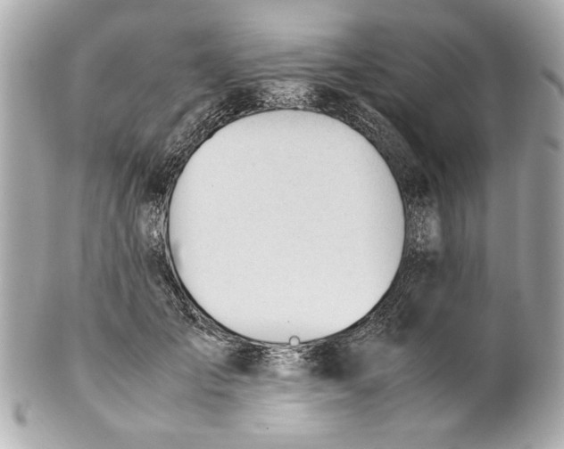 X0000101660701200807311435