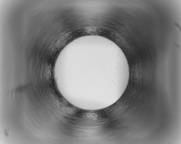 X0000101660702200807311435