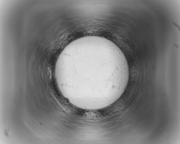 X0000101660703200807311435