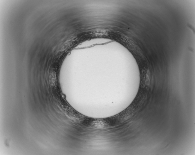 X0000101660704200807311435