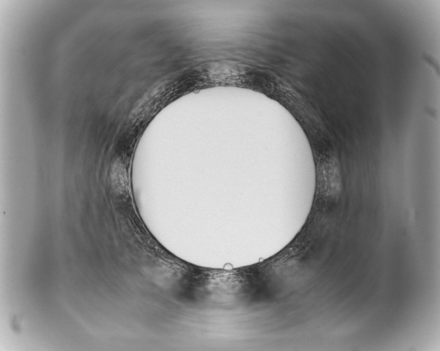 X0000101660705200807311435