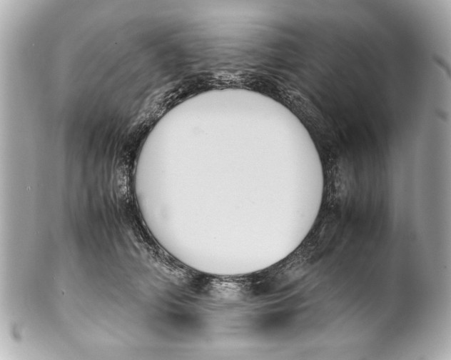 X0000101660706200807311435