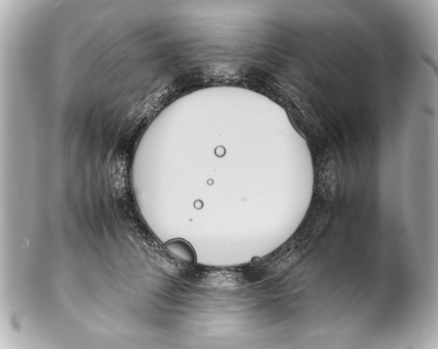 X0000101660708200807311435