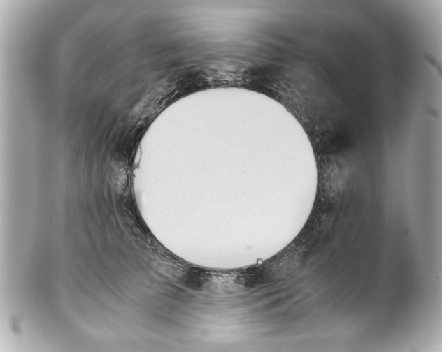 X0000101660709200807311435