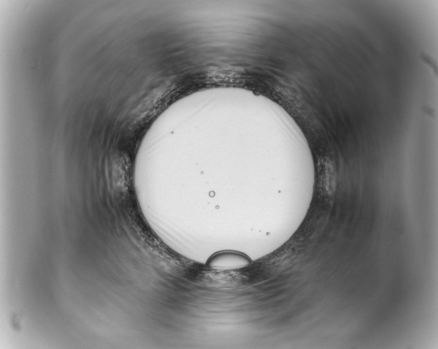 X0000101660712200807311435