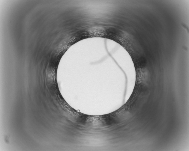 X0000101660713200807311435