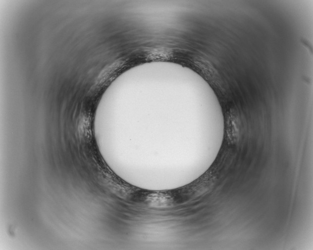 X0000101660714200807311435