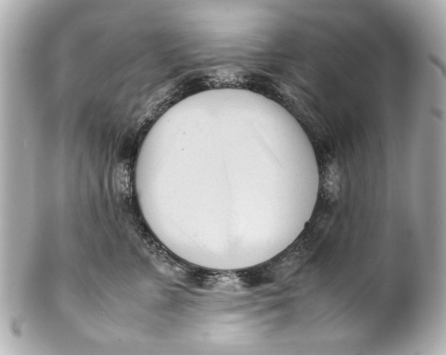 X0000101660715200807311435