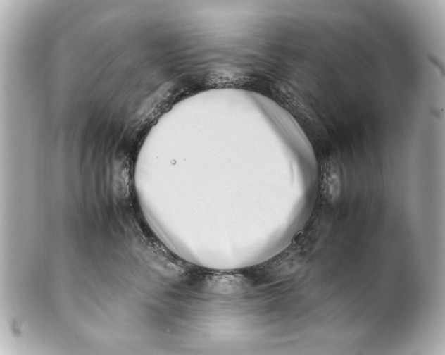 X0000101660716200807311435