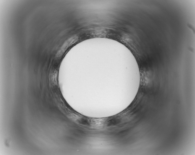 X0000101660717200807311435