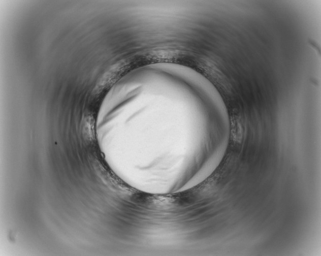 X0000101660718200807311435