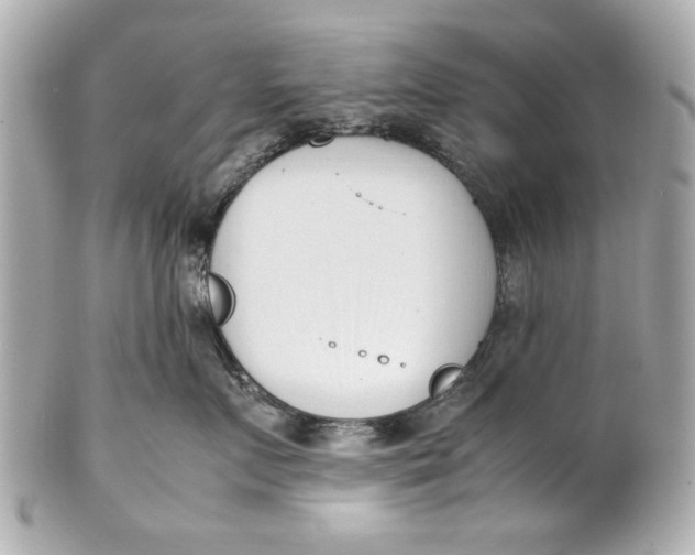 X0000101660719200807311435