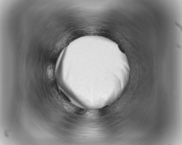 X0000101660720200807311435